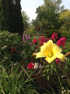 VICTORIAN HOT GARDENS